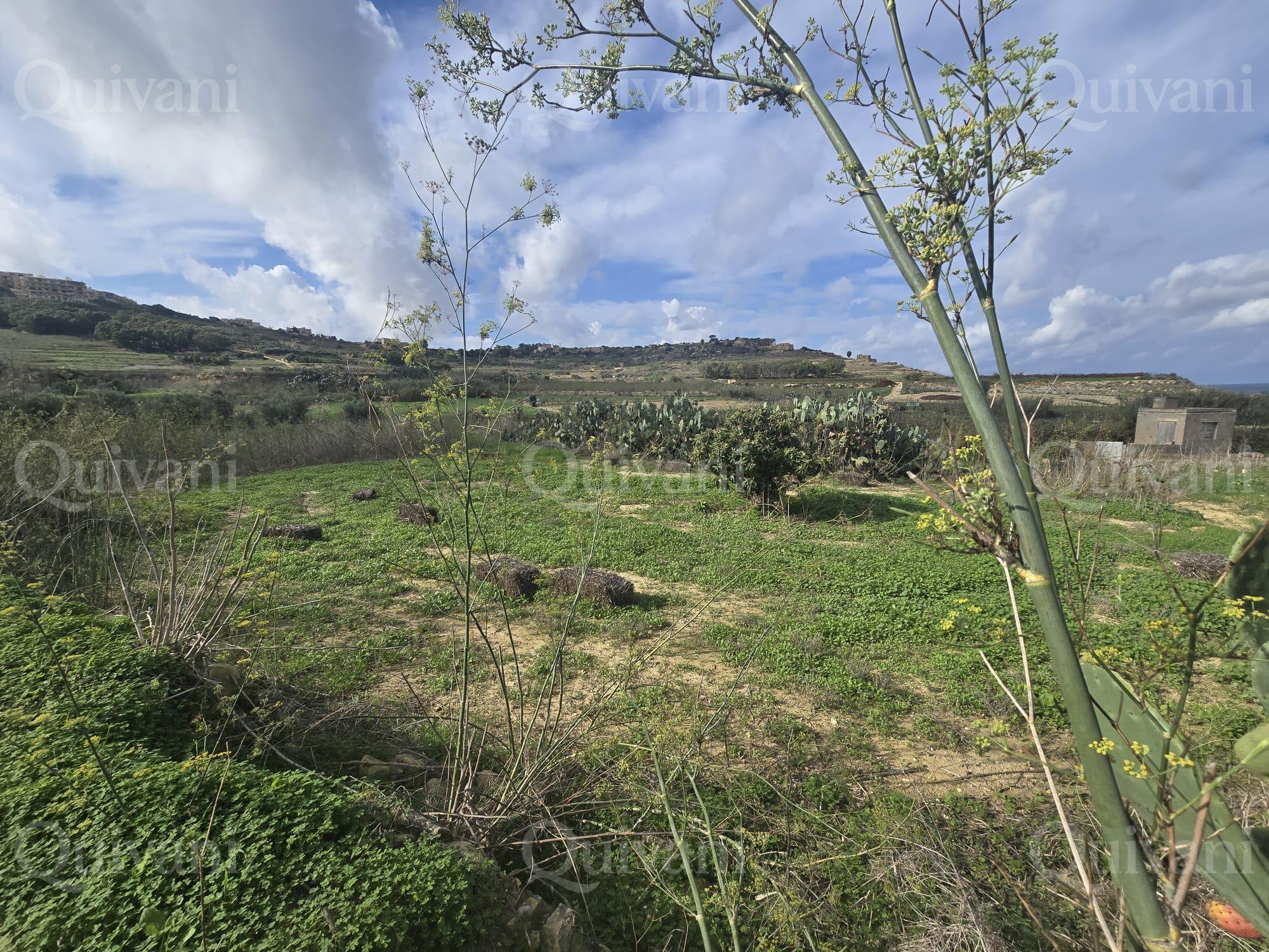 Nadur n/a Agricultural Land