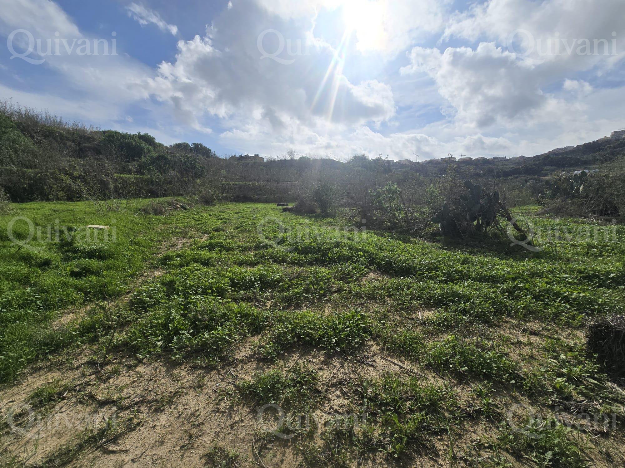 Nadur n/a Agricultural Land