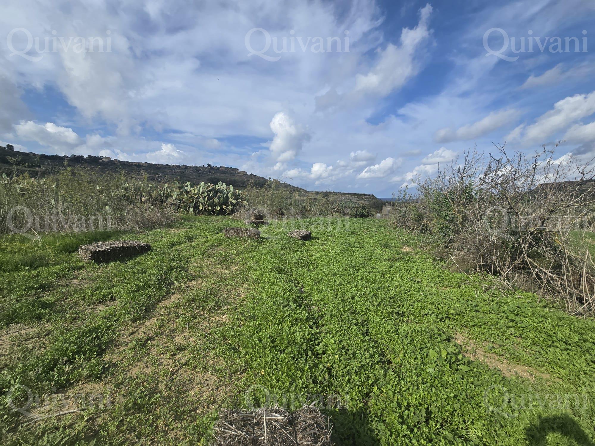 Nadur n/a Agricultural Land