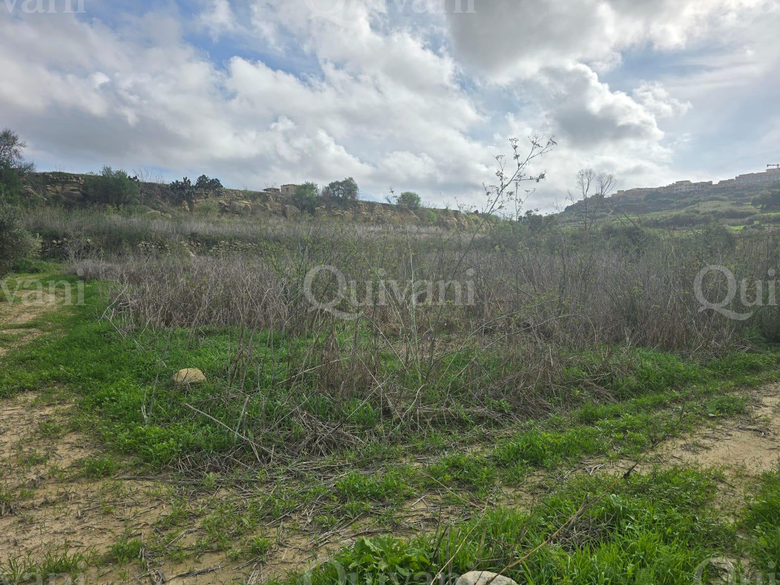 Nadur n/a Agricultural Land
