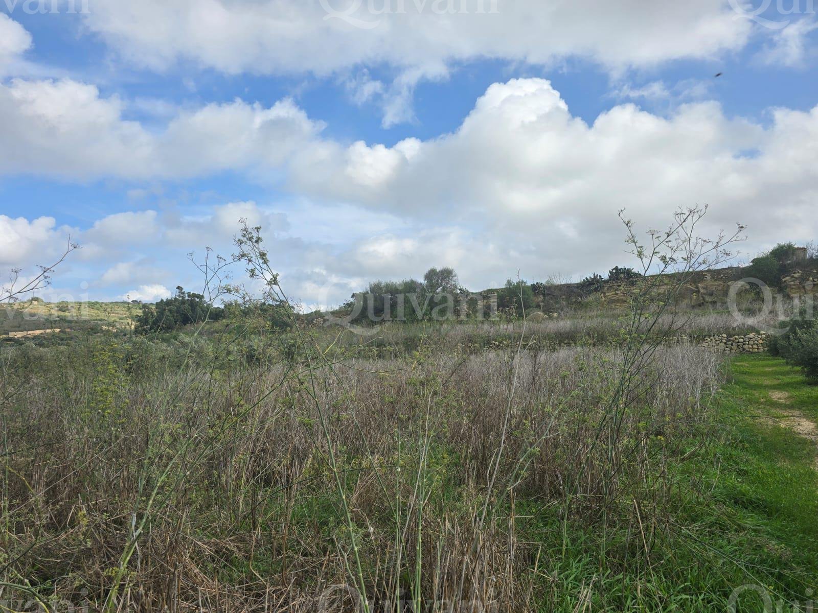 Nadur n/a Agricultural Land