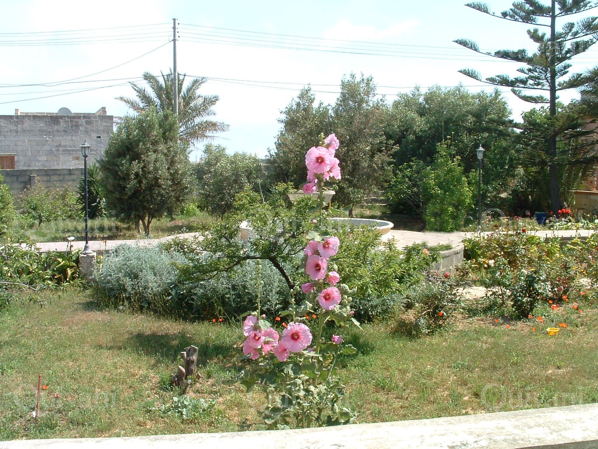 Birzebbugia Finished Semi-detached Bungalow