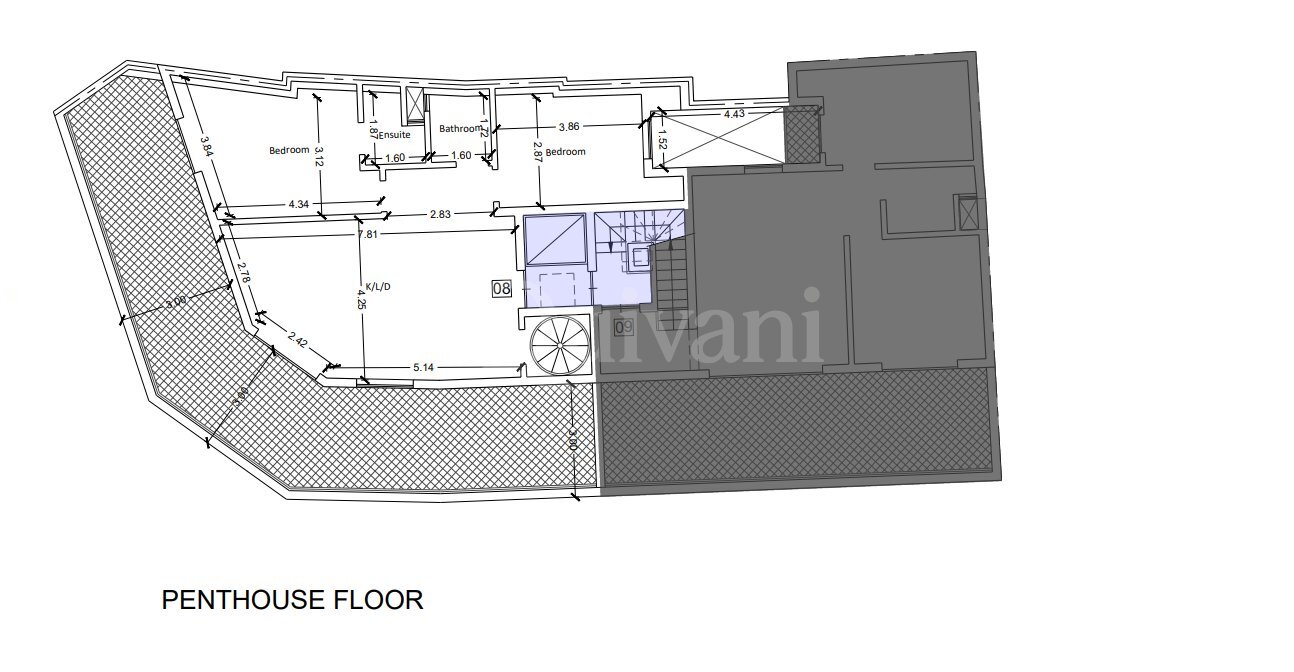 Qala Shell form Penthouse