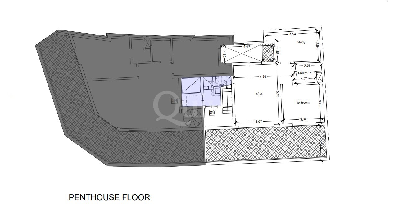 Qala Shell form Penthouse