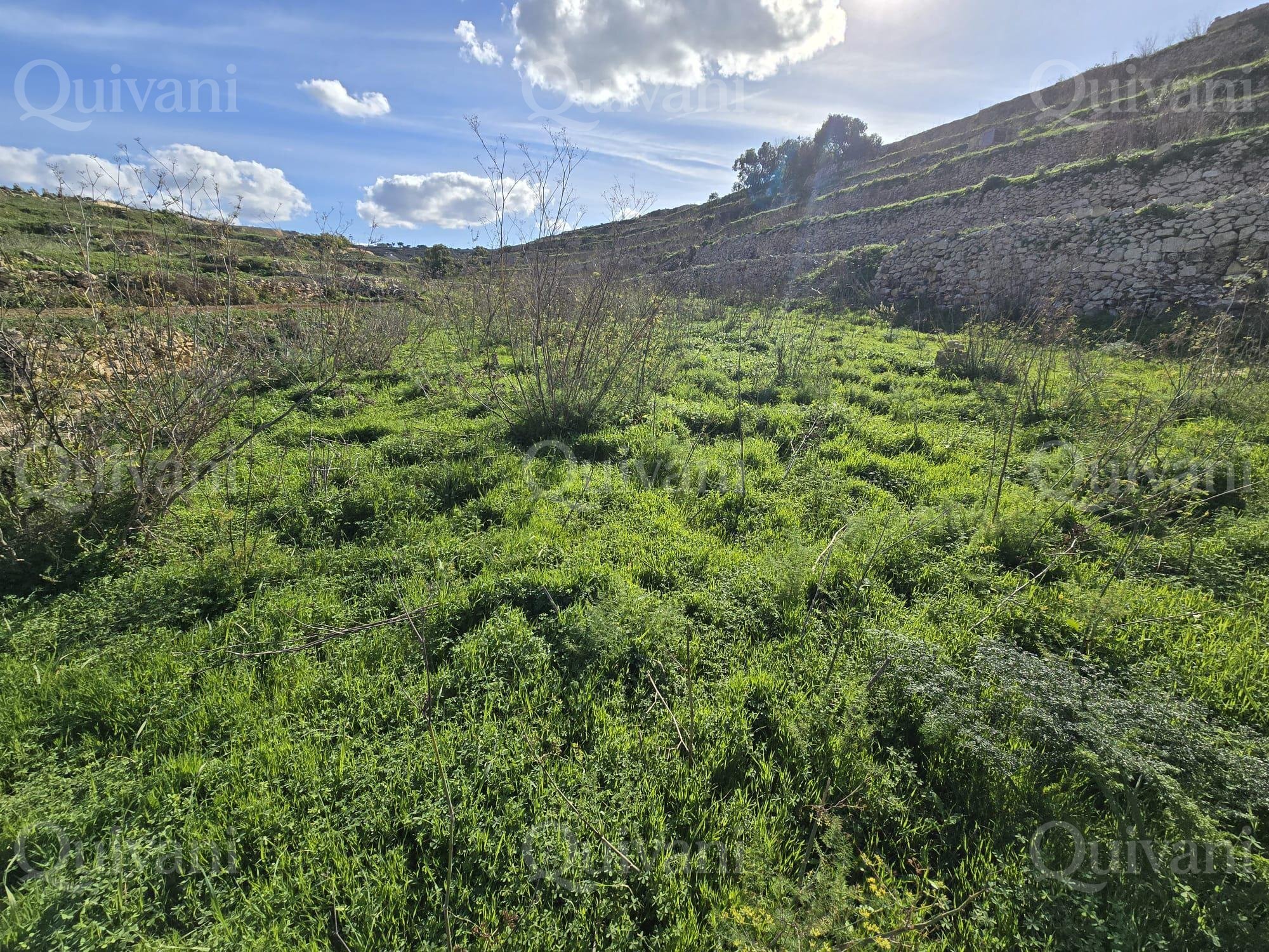 Xlendi n/a Agricultural Land