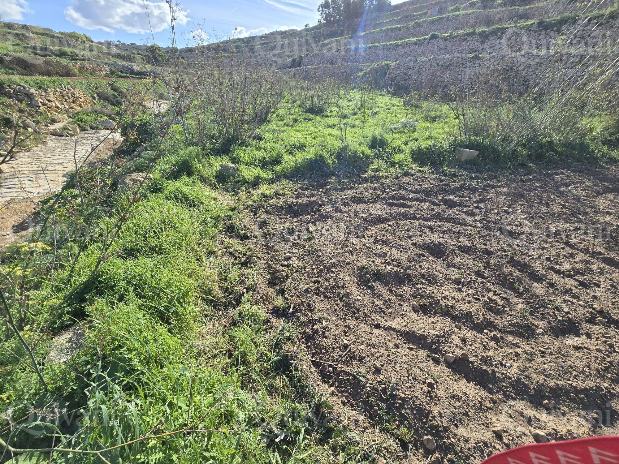 Xlendi n/a Agricultural Land