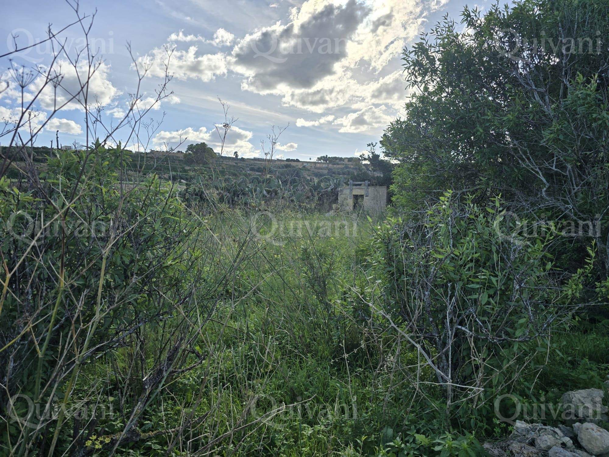 Munxar n/a Agricultural Land