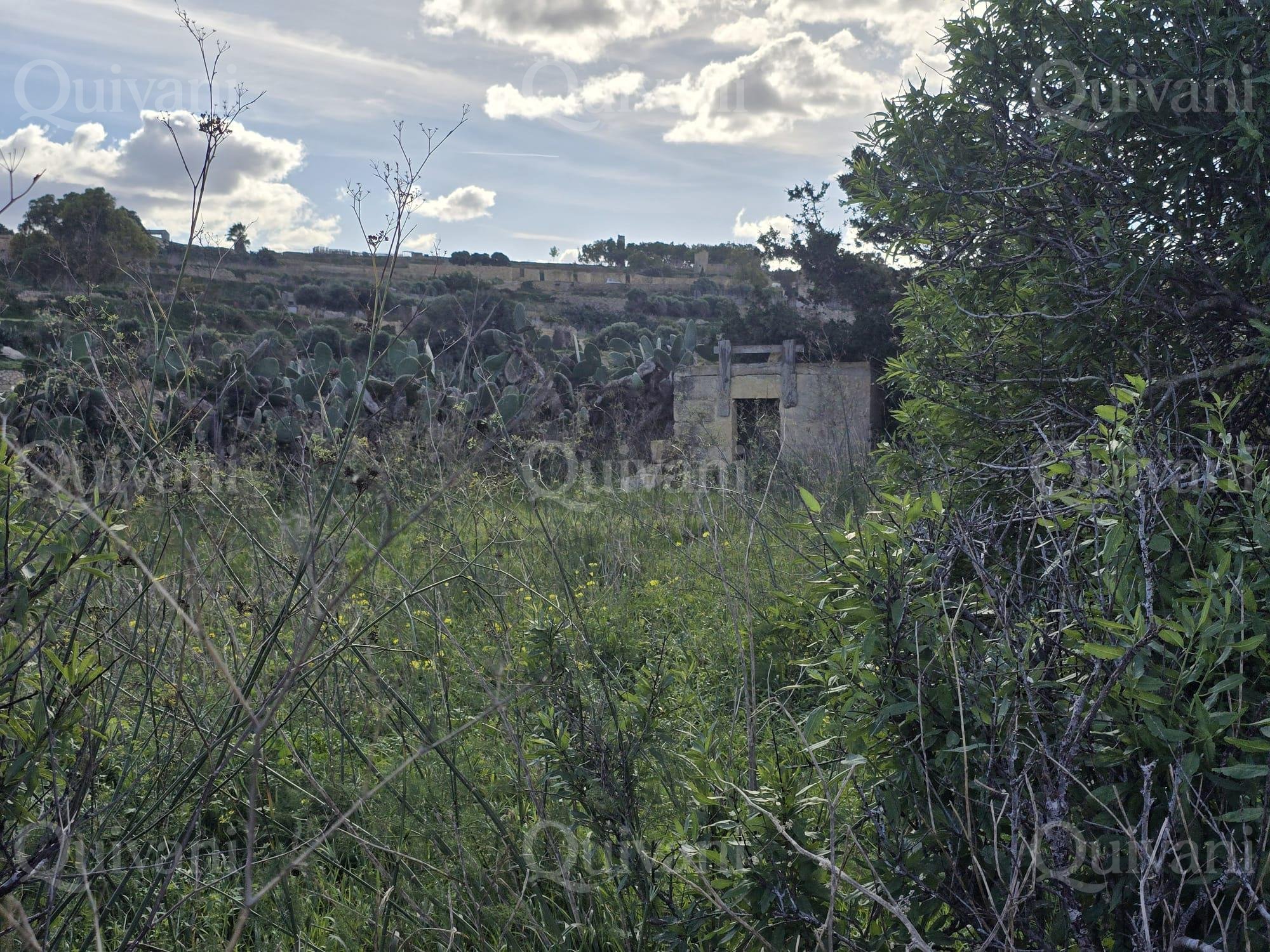 Munxar n/a Agricultural Land