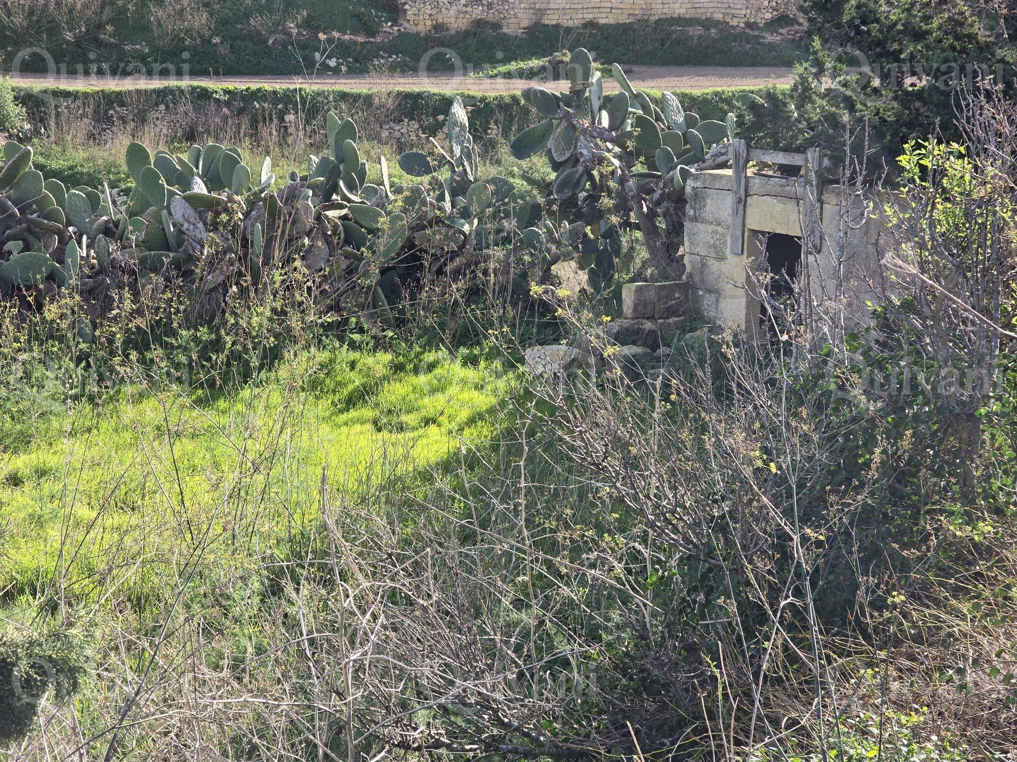 Munxar n/a Agricultural Land