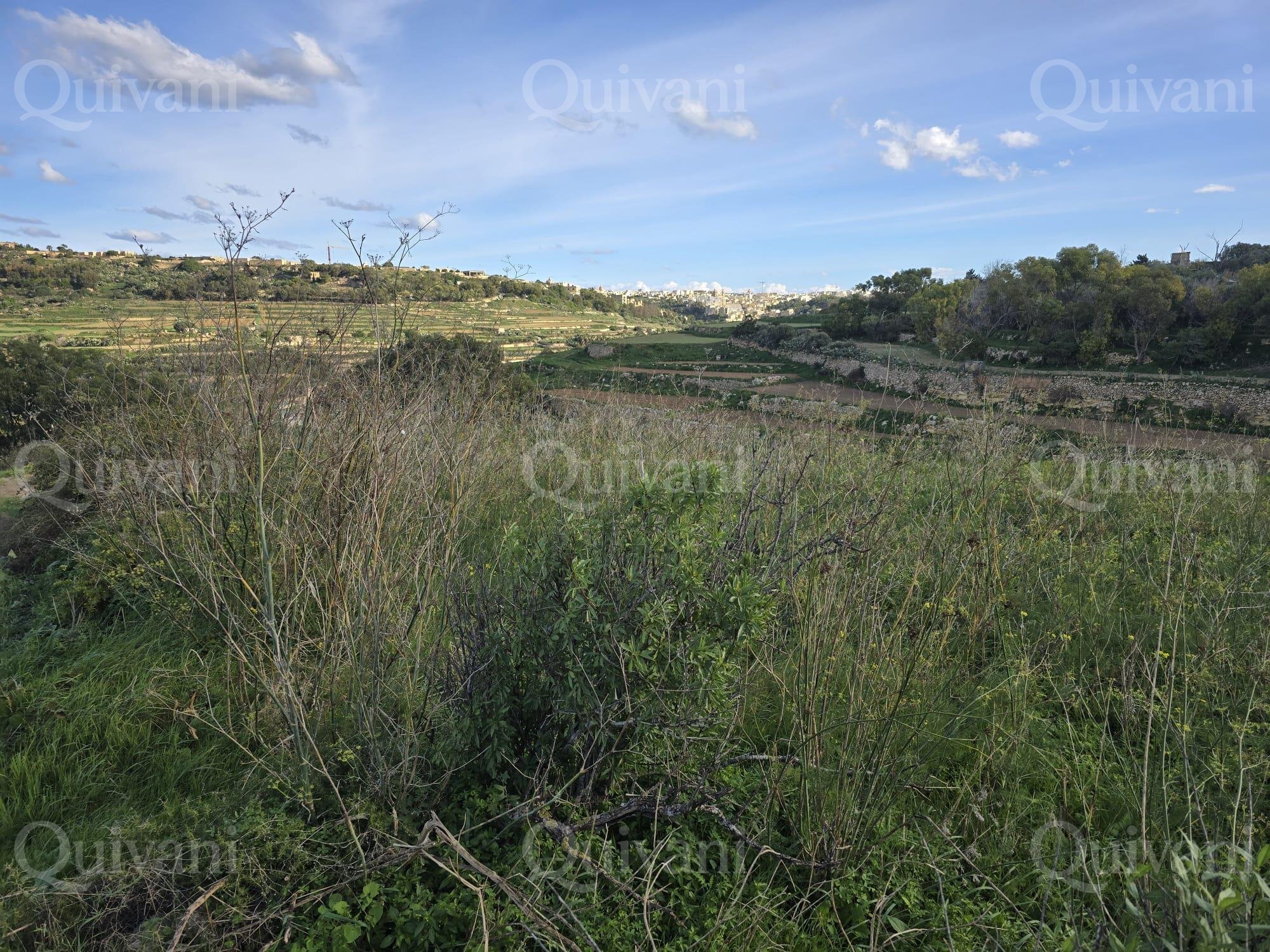 Munxar n/a Agricultural Land