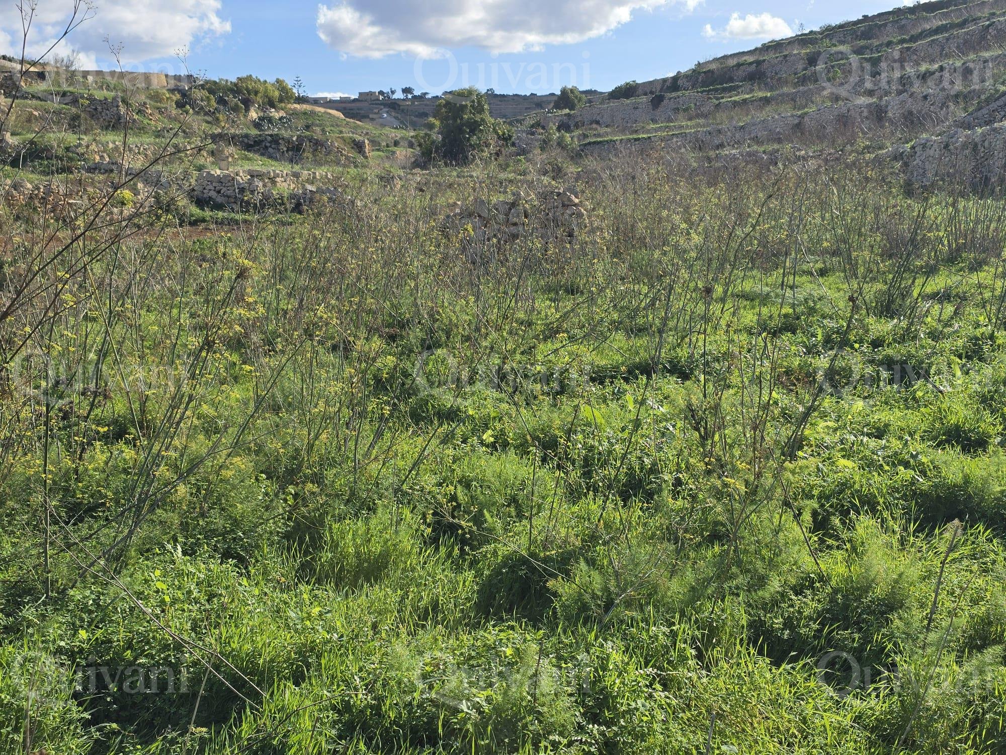 Munxar n/a Agricultural Land