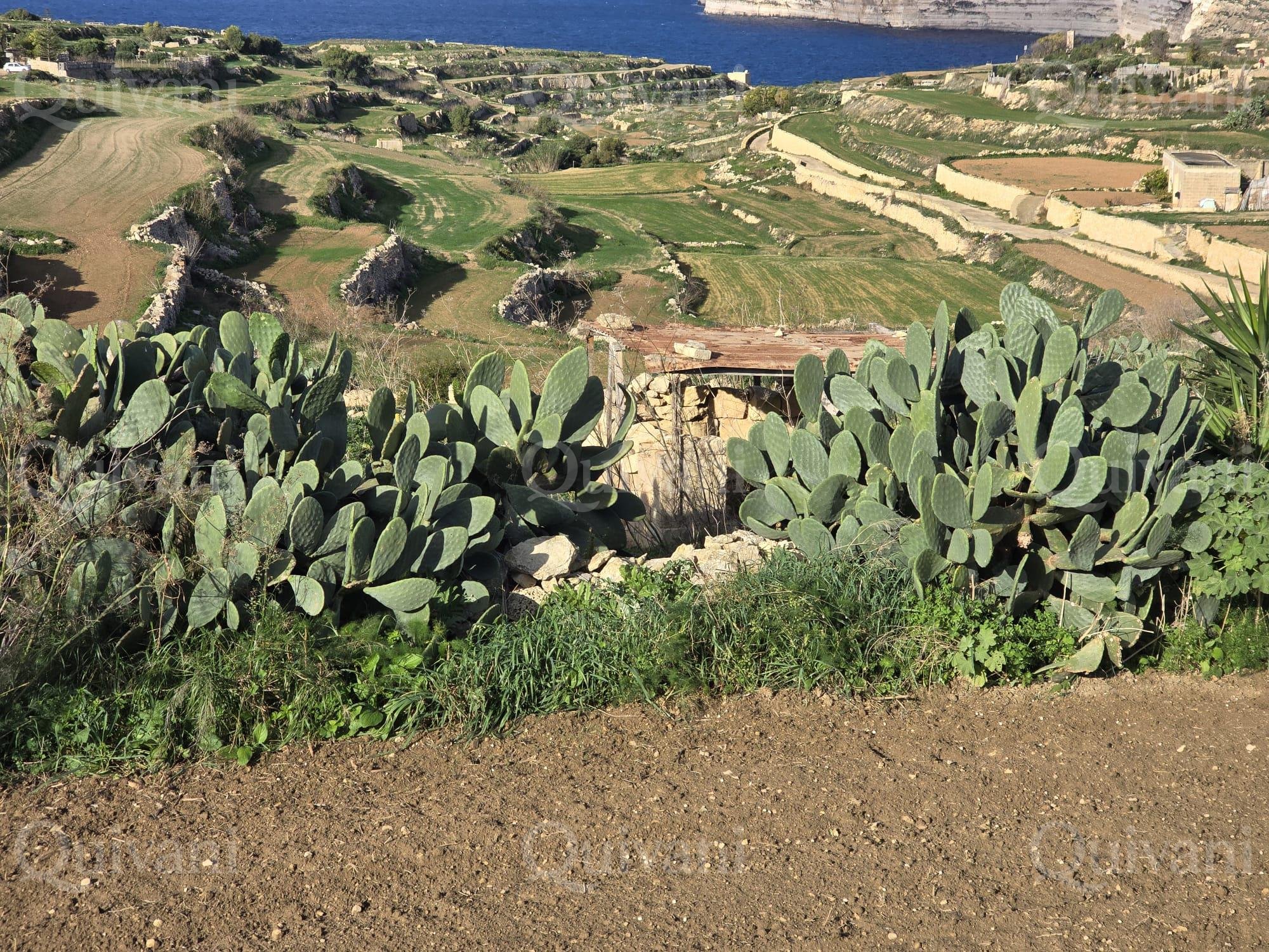 Munxar n/a Agricultural Land