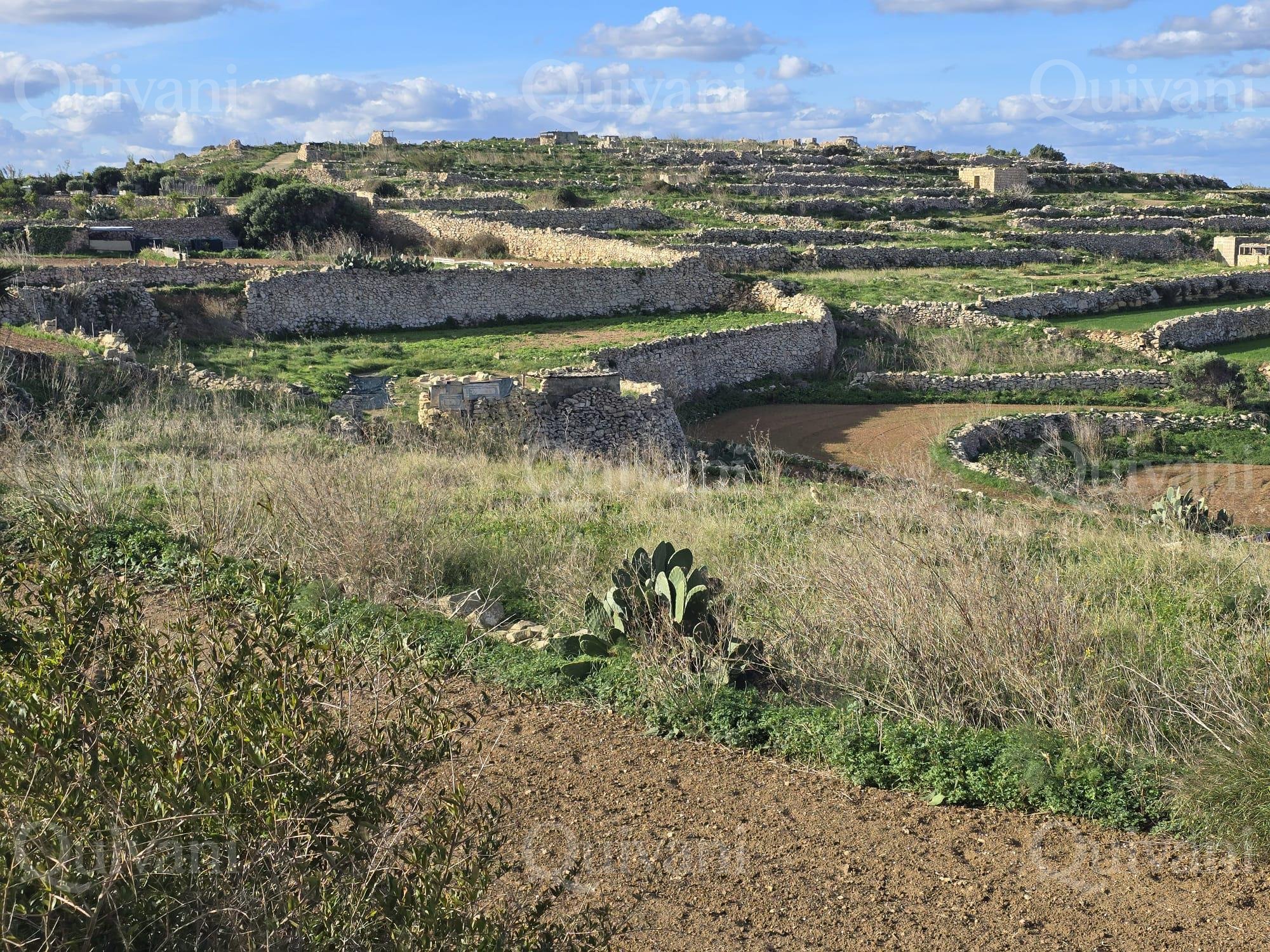 Munxar n/a Agricultural Land