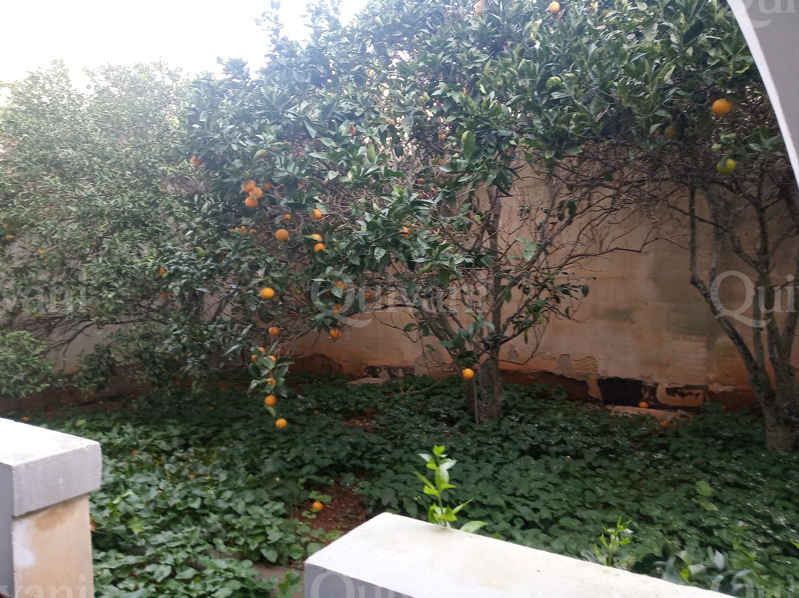 Dingli Furnished Townhouse