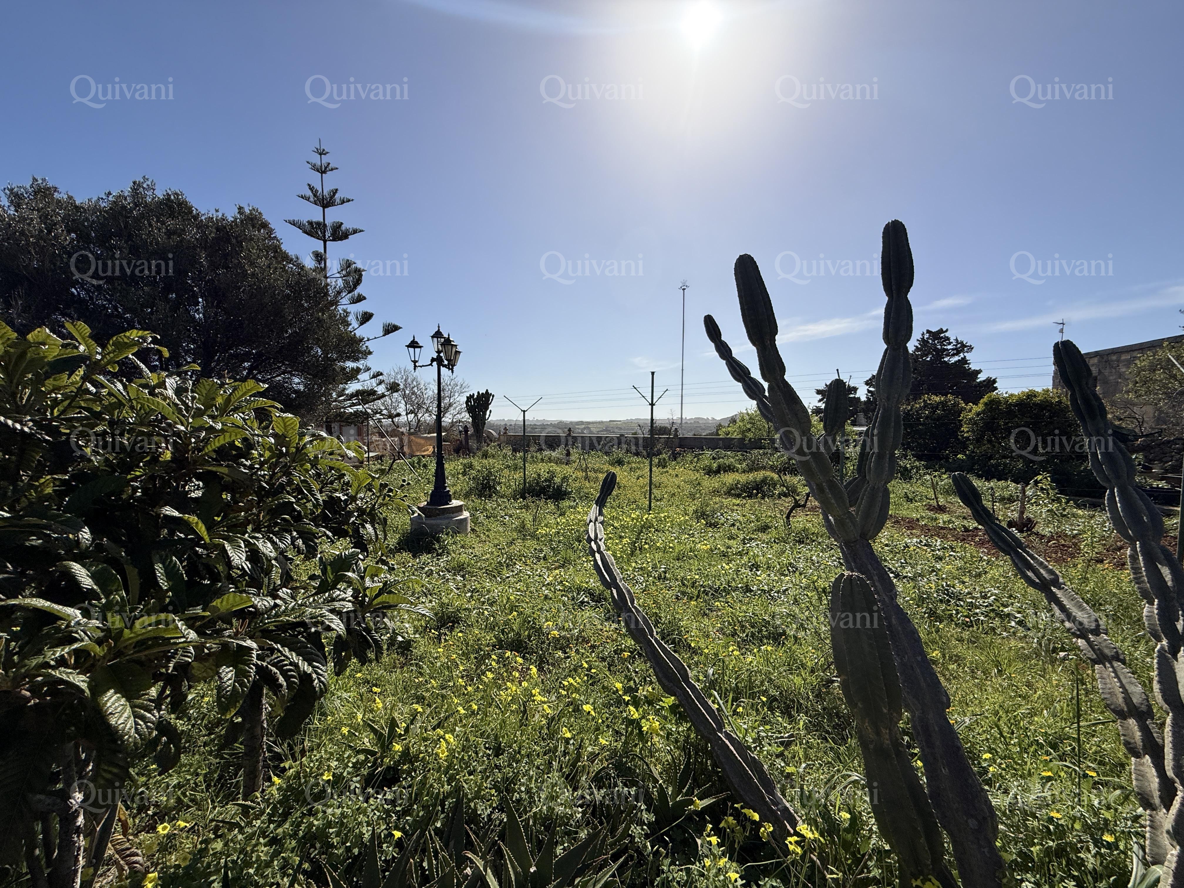 Dingli Fully Detached Bungalow