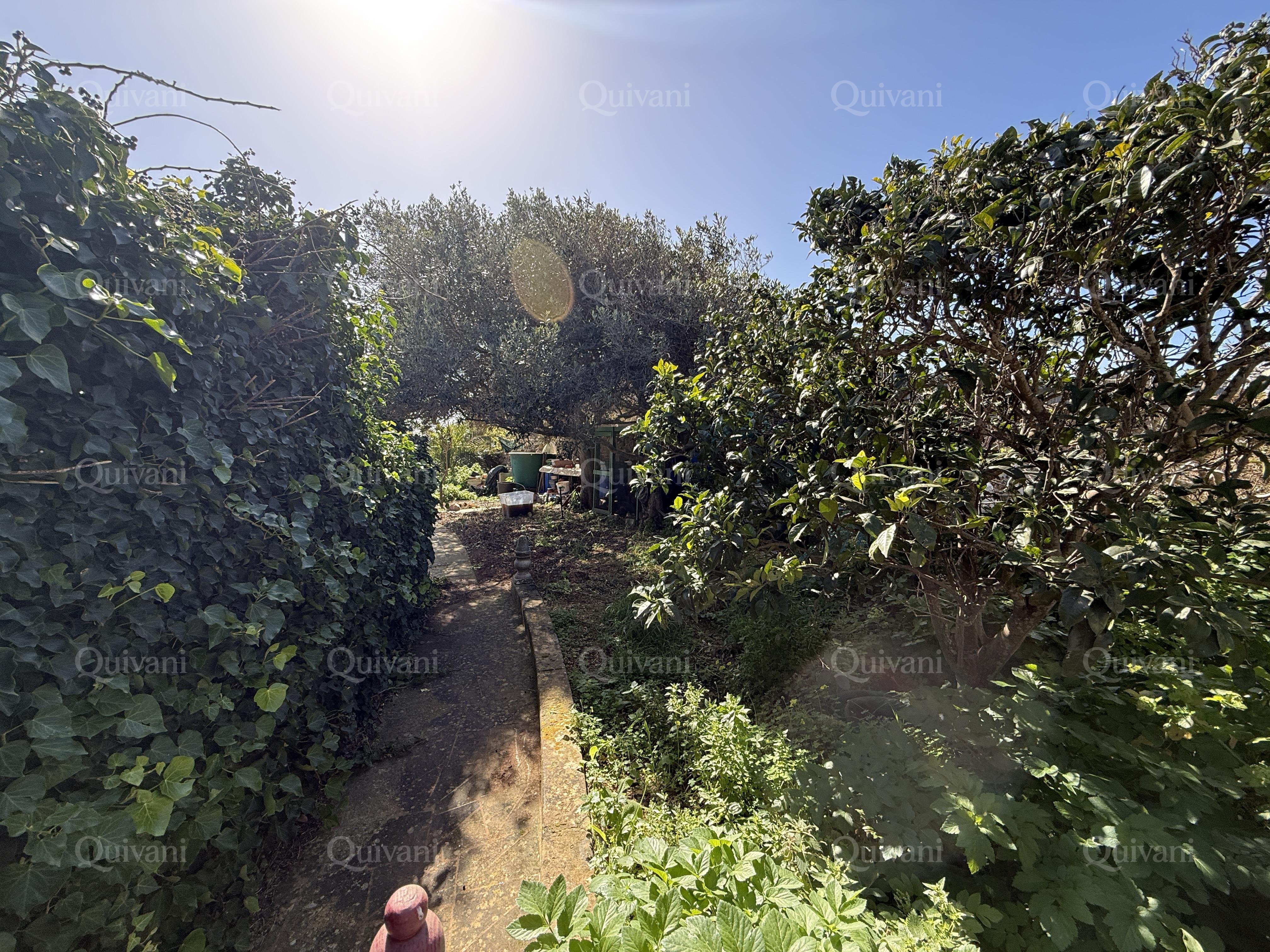 Dingli Fully Detached Bungalow