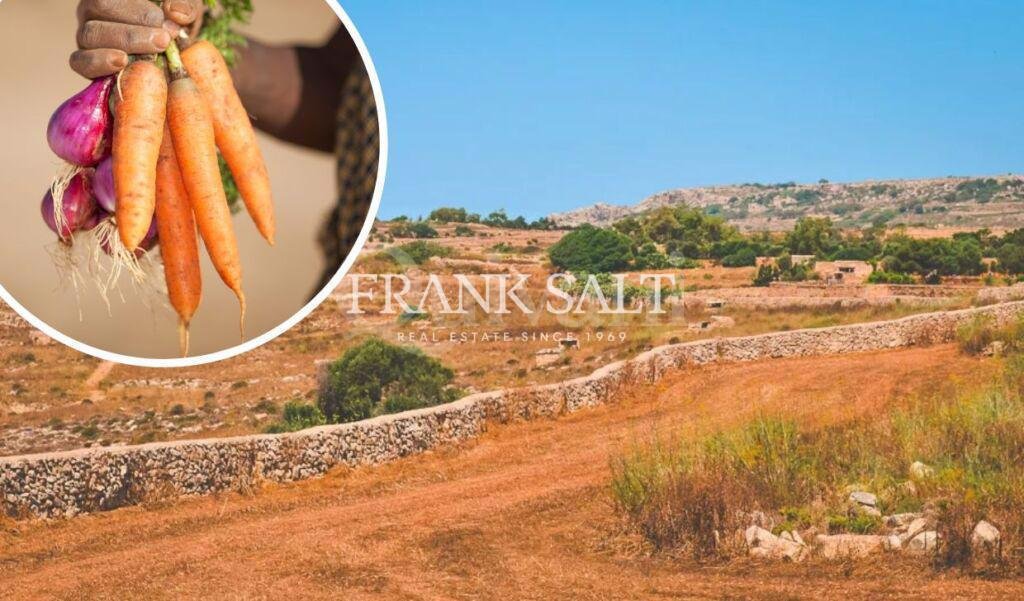 Wardija, 900sqm Agricultural Land