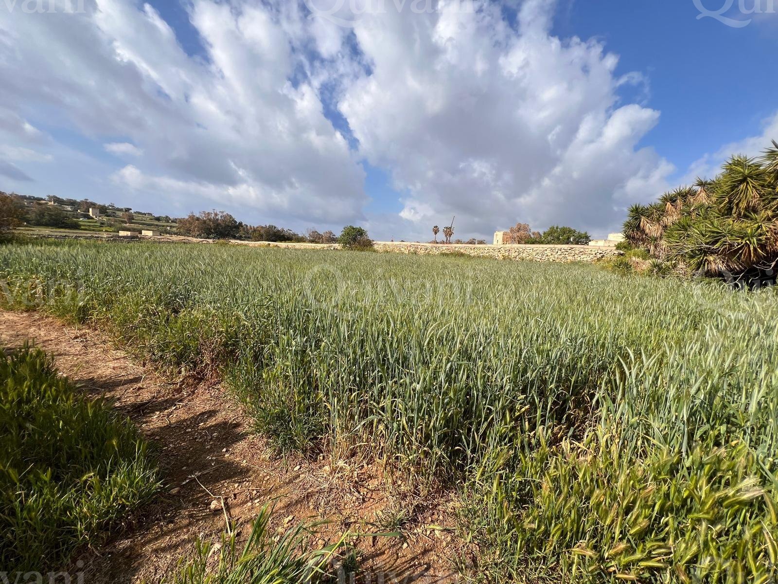 Marsascala Farmhouses With Agricultural Fields