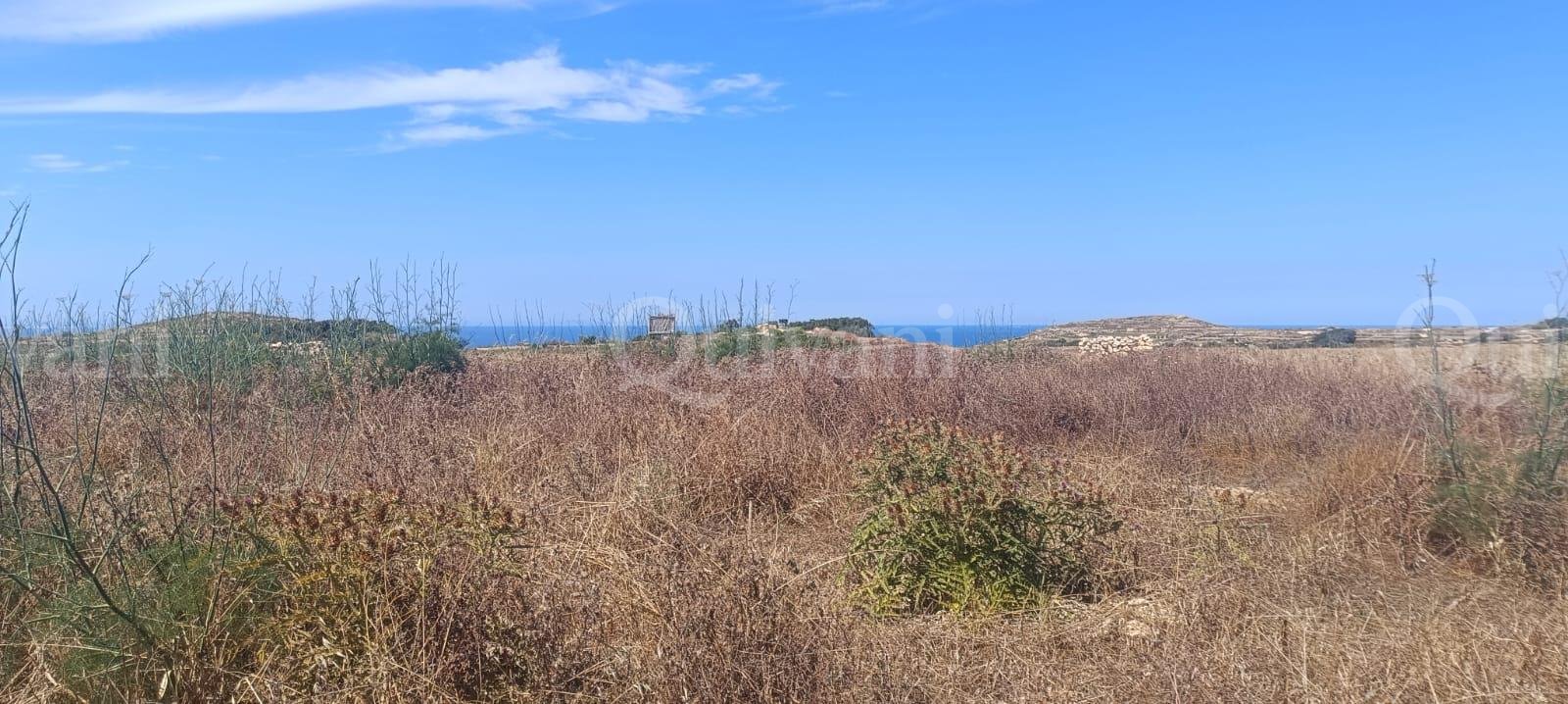 Gharb Agricultural Land