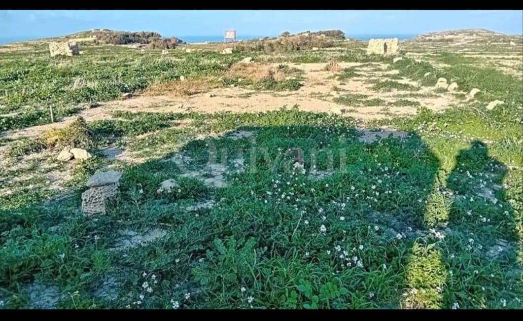 Gharb Agricultural Land